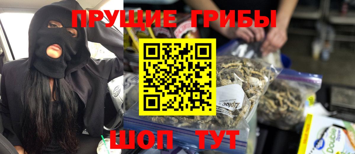 Галлюциногенные грибы Psilocybe  Псилоцибиновые грибы мицелий  купить наркотики сайты  Вход с VPN  Красноармейск 